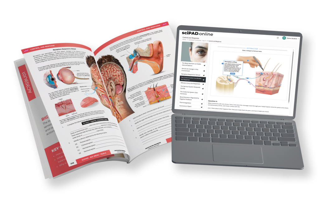A sciPAD workbook alongside sciPAD Online on a laptop