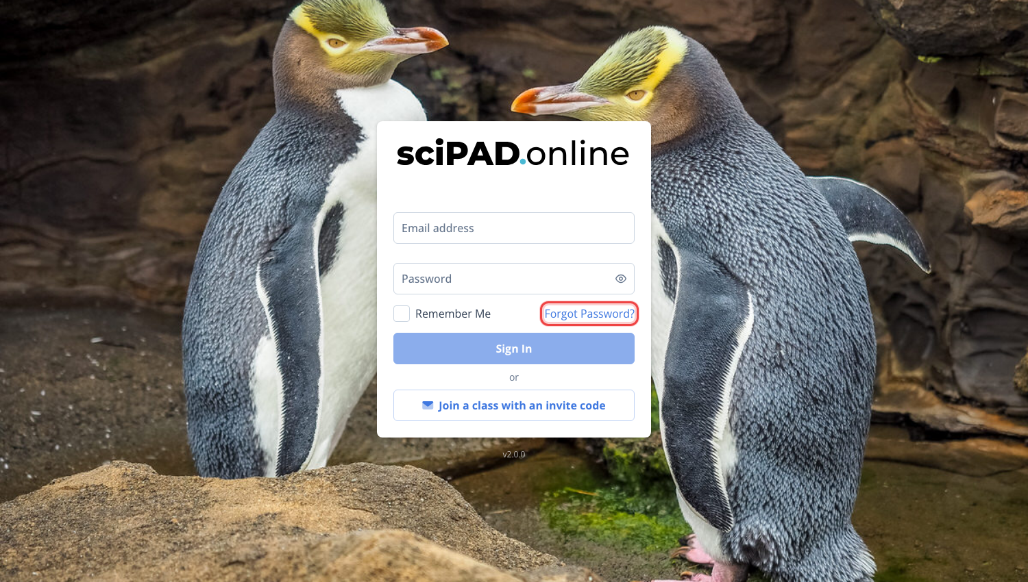 The sign-in page with the Forgot Password link highlighted